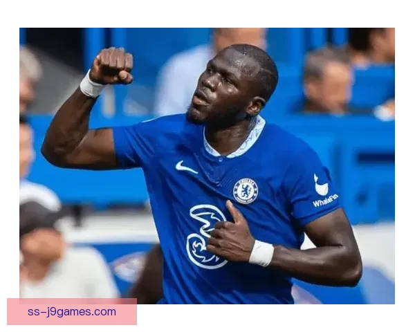 库利巴利以3800万欧元加盟切尔西开启新篇章助力蓝军防线